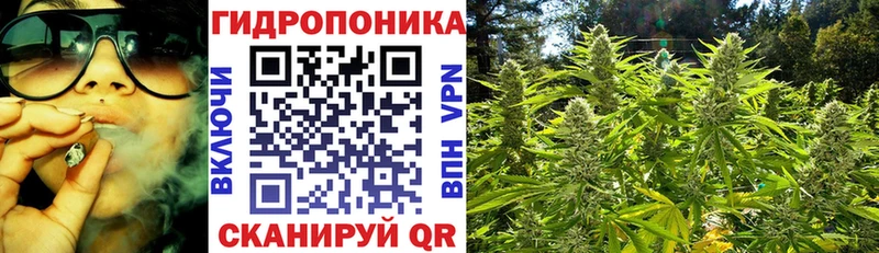 Шишки марихуана индика  Купить закладки  Кузнецк 